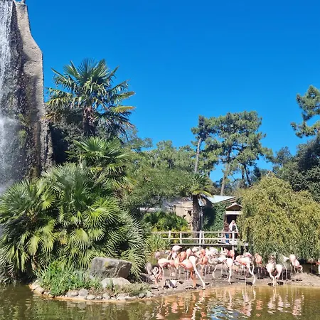 Prázdninový dům 1 Bedroom In